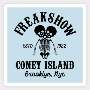 FREAKSHOW - Coney Island tie dye Sticker